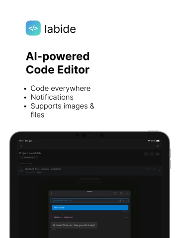 Labide - Remote Dev Studio ipad screenshot 4