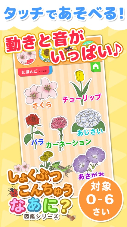 植物・昆虫なあに？ - タッチ図鑑シリーズ