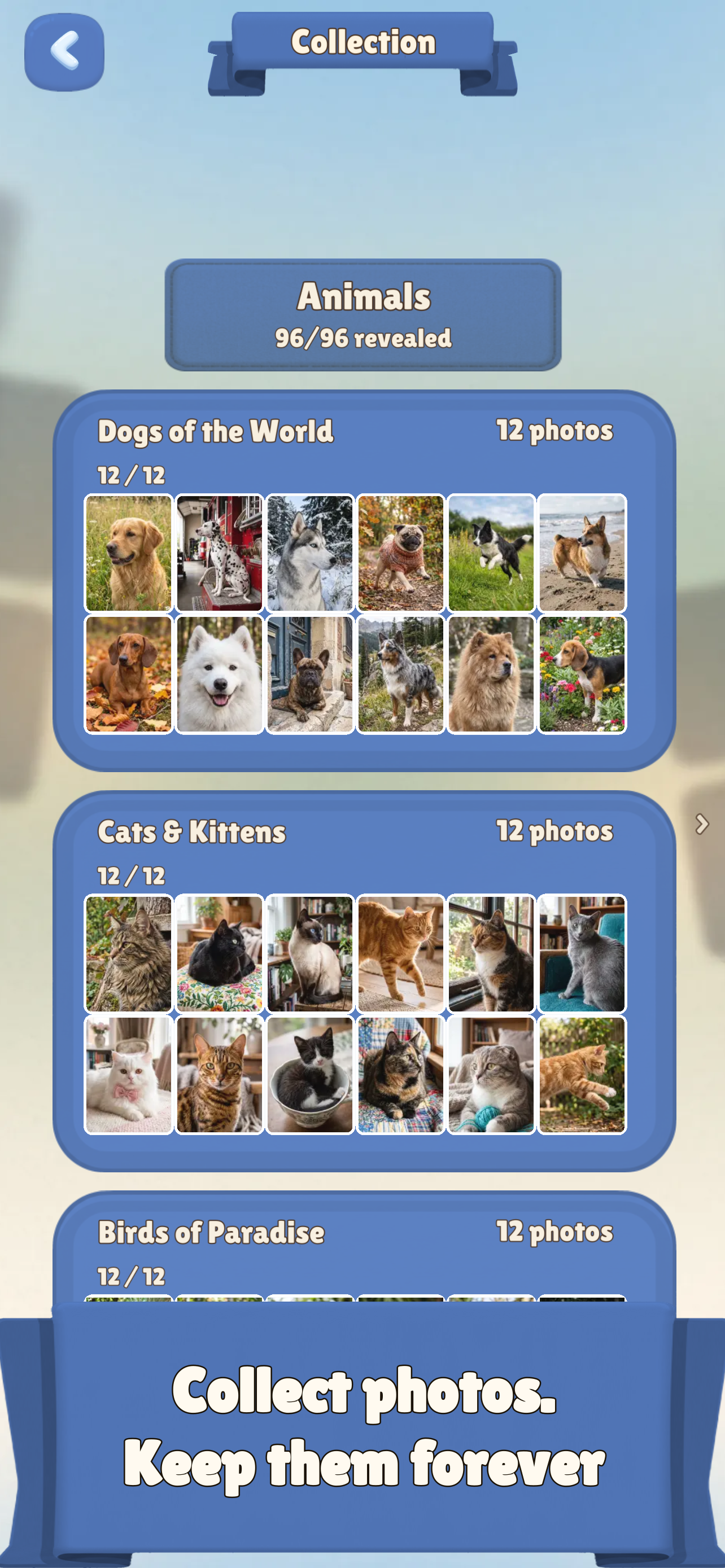 Picture Drop: Jigsaw Puzzle screenshot 7