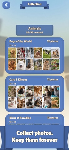 Picture Drop: Jigsaw Puzzle Screenshot 6 of 6