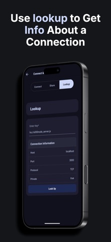 Holesail Go screenshot