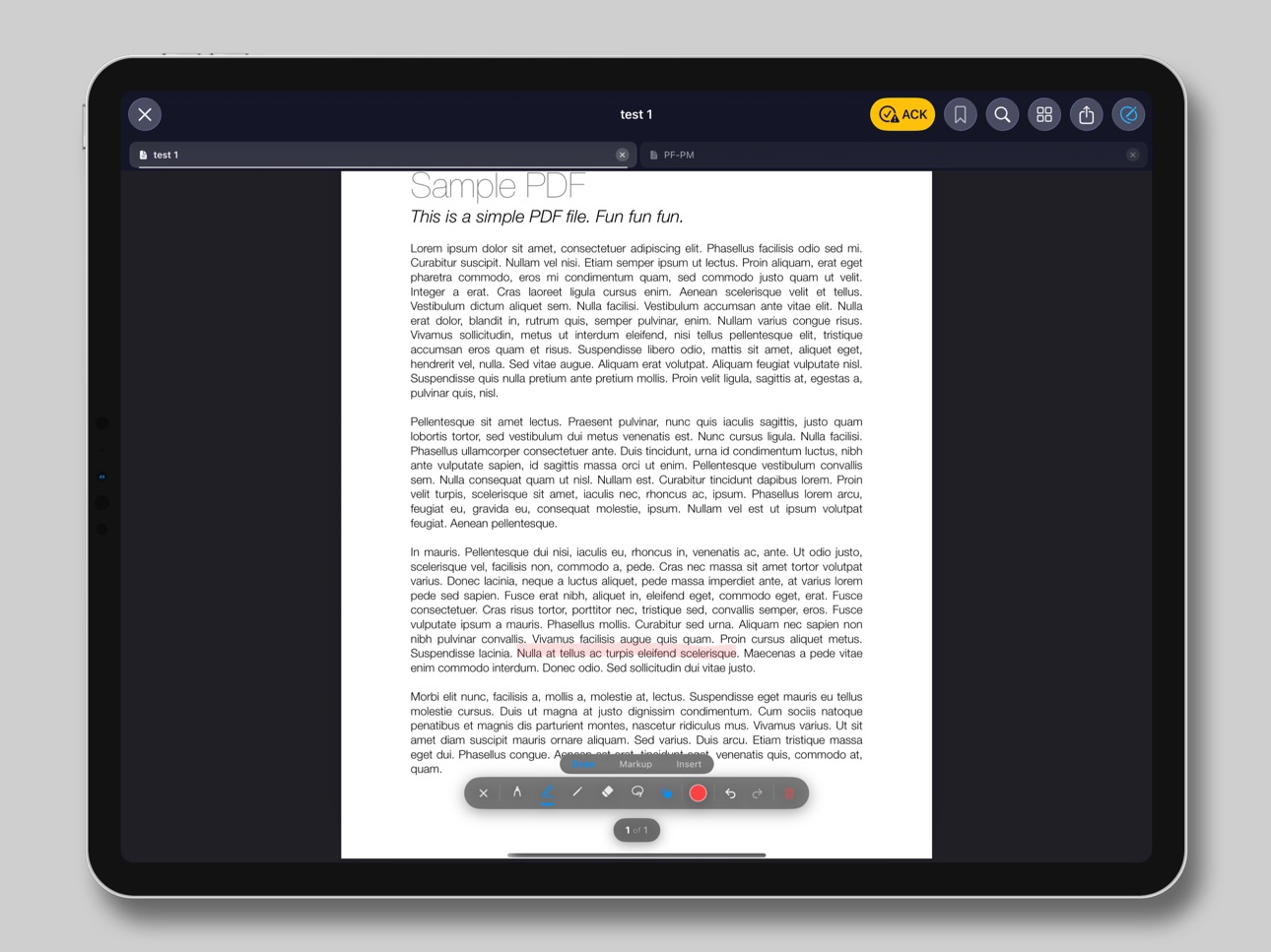 iPad screenshot