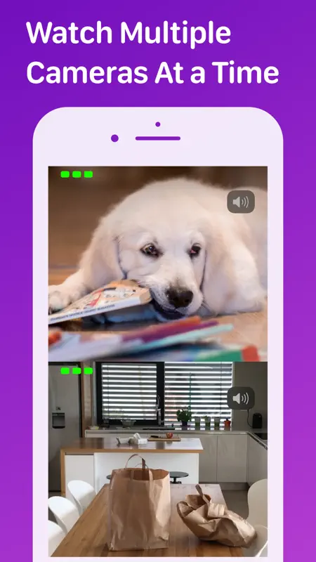 Pet Monitor VIGI screenshot 7 of 10