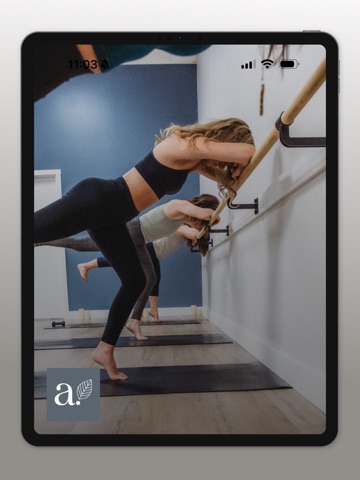 Align NH iPad screenshot