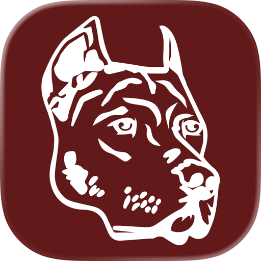 CarDog CRM