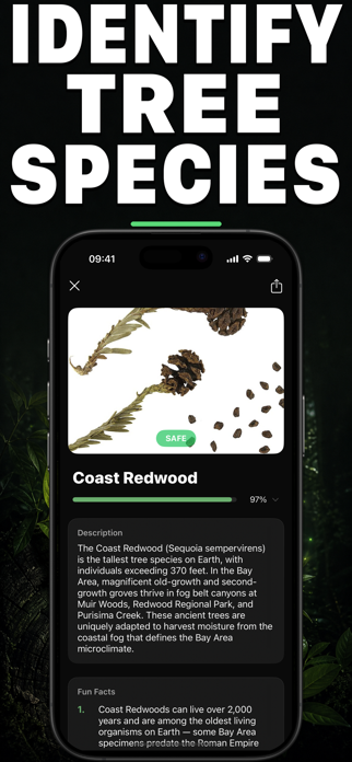Leafr AI: Tree Identifier Screenshot 1 of 6