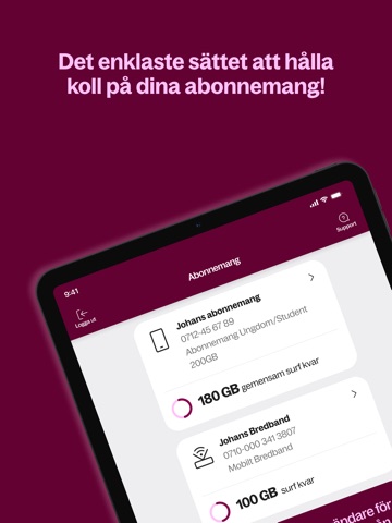 Hallon iPad screenshot 1