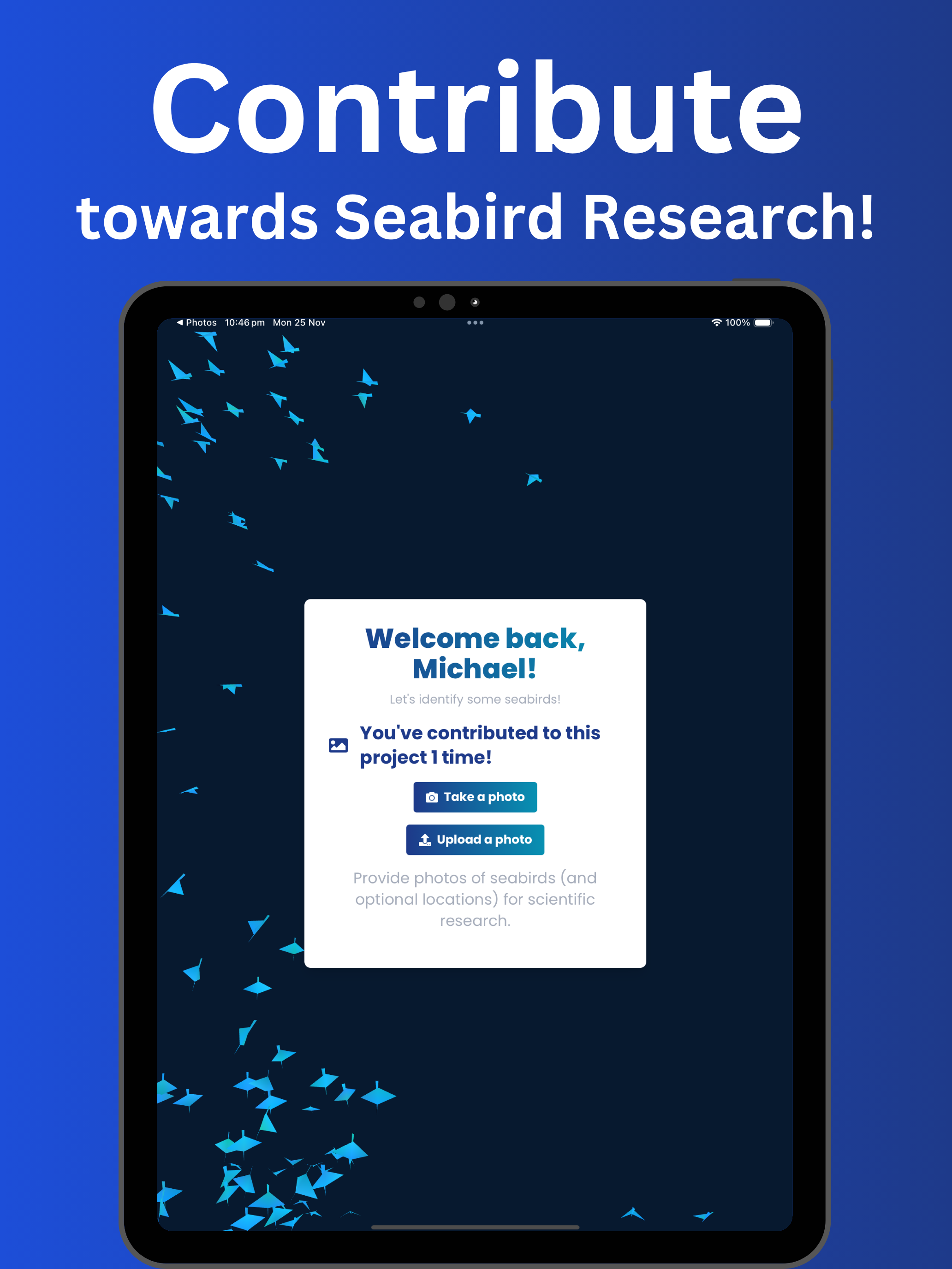 IceFlight: Antarctic Seabirds screenshot 6