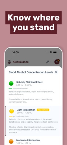 AlcoBalance - Alcohol Tracker iPhone screenshot
