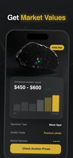 Rock Identifier – Stone Scan screenshot 2