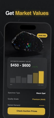 Rock Identifier – Stone Scan Screenshot 2 of 5