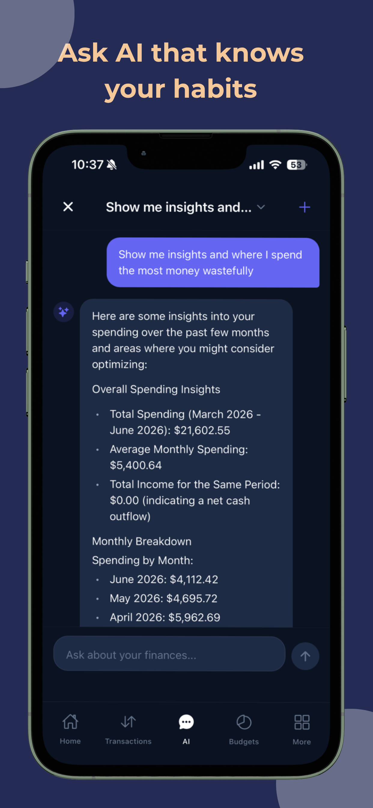 Sable Spend screenshot 9