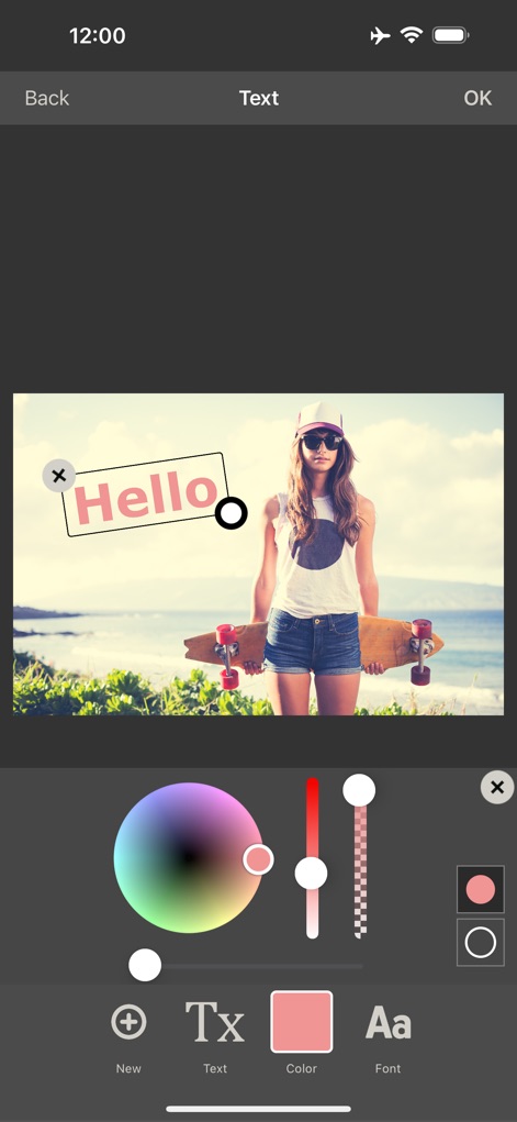 Image Size - 사용자는 이미지에 '텍스트'를 쉽게 추가하고 '색상' 팔레트를 사용하여 원하는 색상을 선택하여 메시지를 개인화할 수 있습니다.