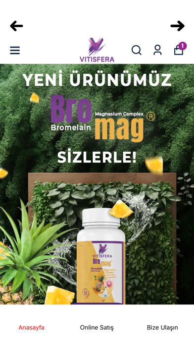 Vitisfera Screenshot