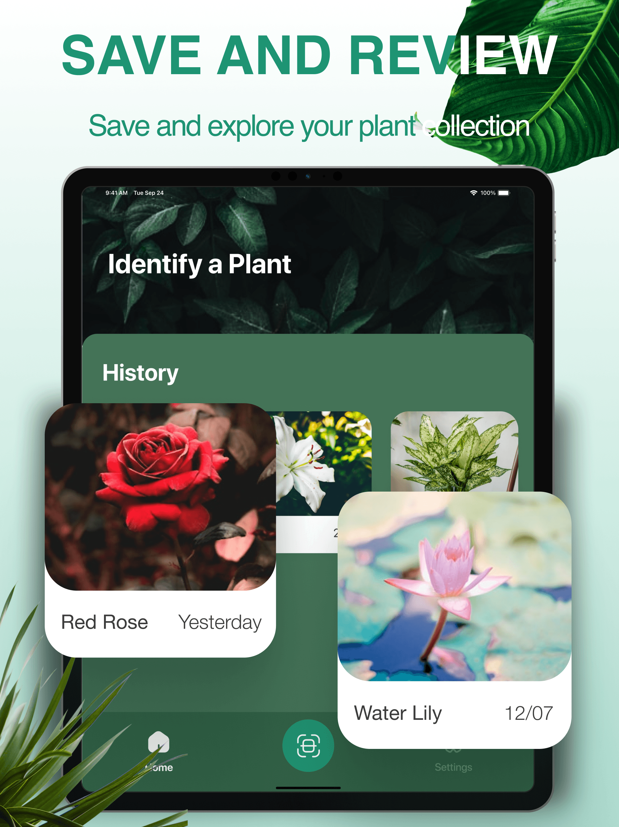 Plant Identifier AI Scanner