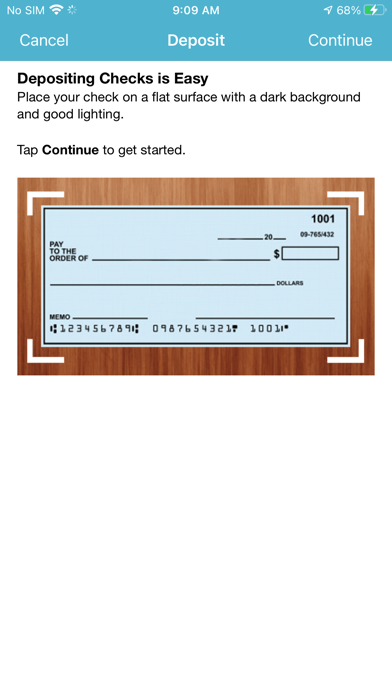 Minnesota Lakes Bank Screenshot
