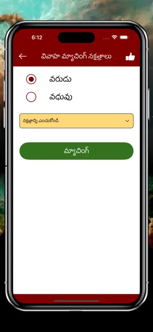 Telugu Calendar Panchangam App screenshot 6