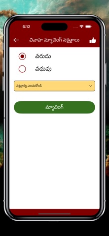 Telugu Calendar Panchangam App screenshot