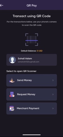 paygun screenshot
