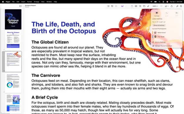 Pages – Creator Studio Screenshot 6