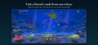 Duo Aquarium screenshot 3
