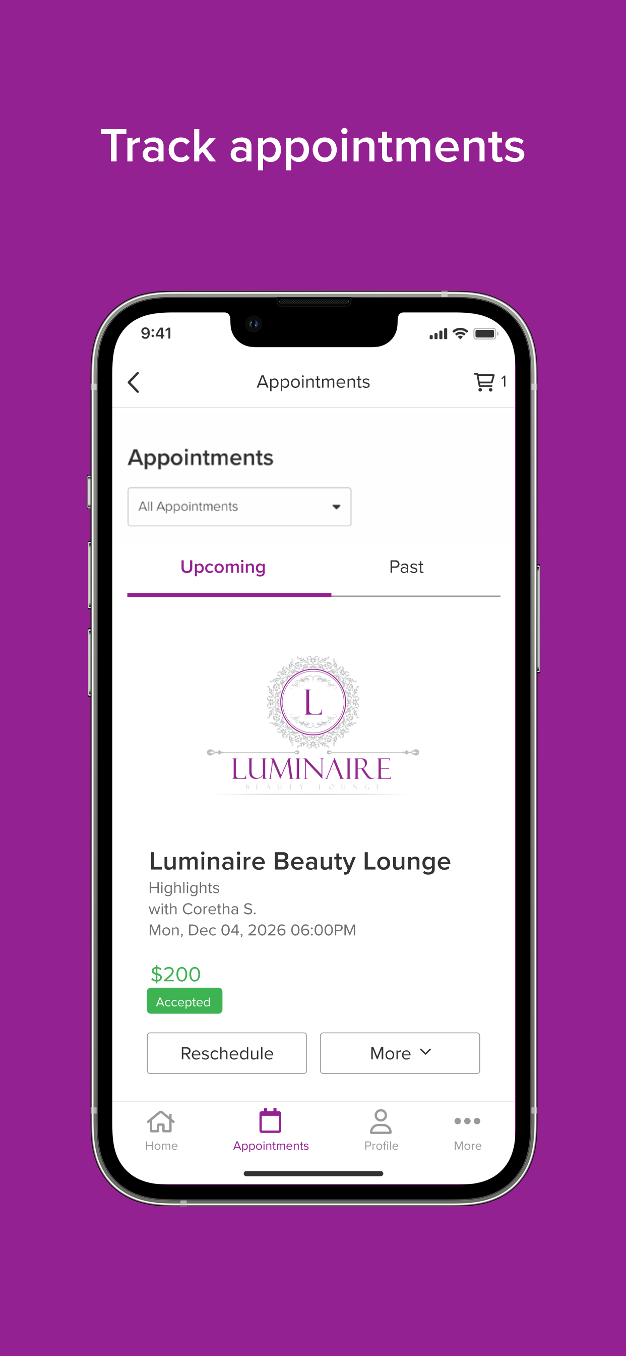 Luminaire Inc.