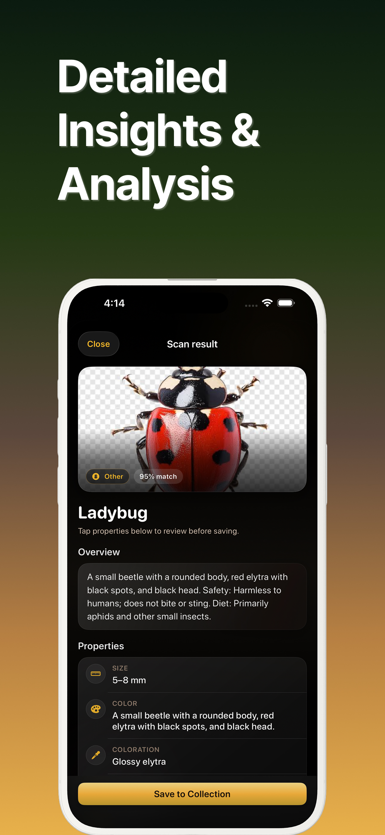 InsectKit: Insect Identifier screenshot 4