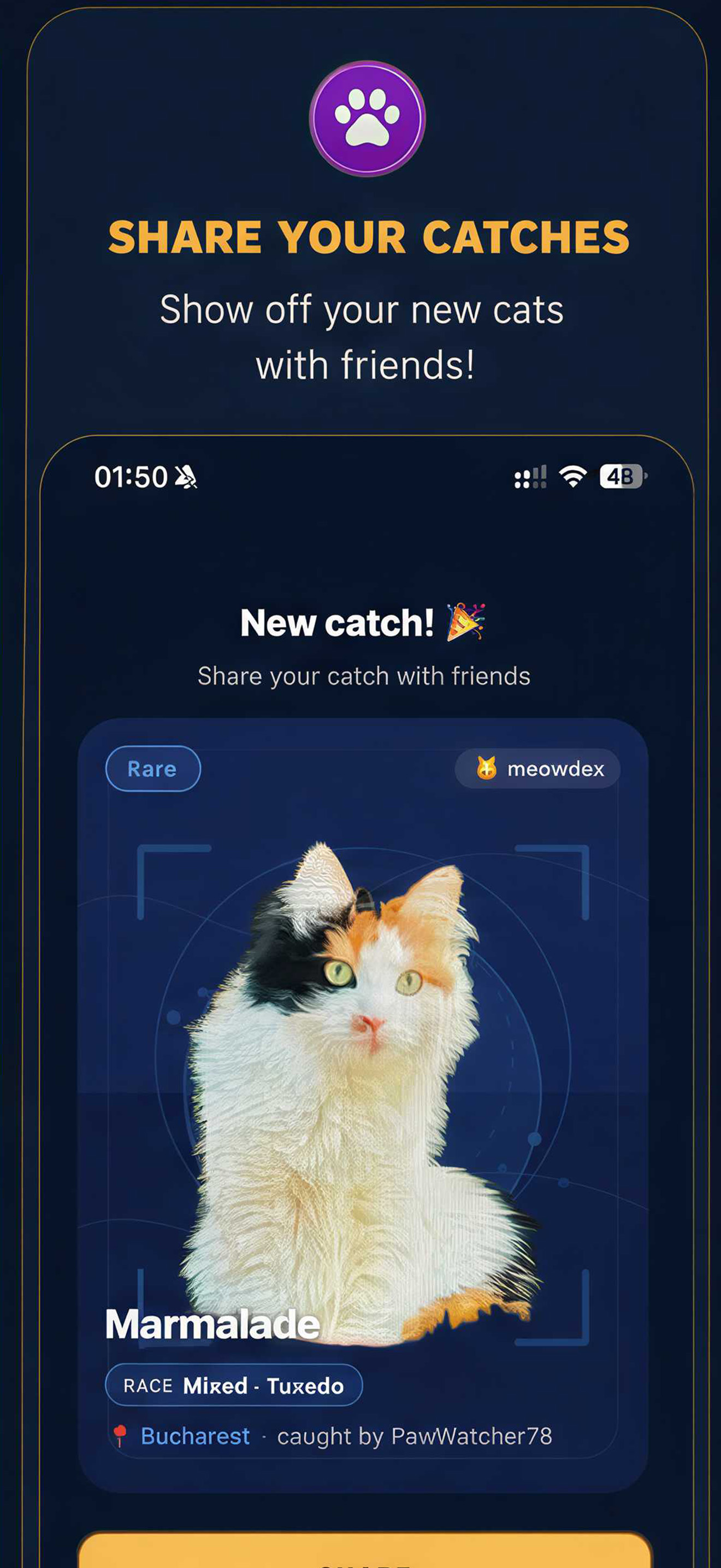 Catch Cats & Identify: Meowdex screenshot 3