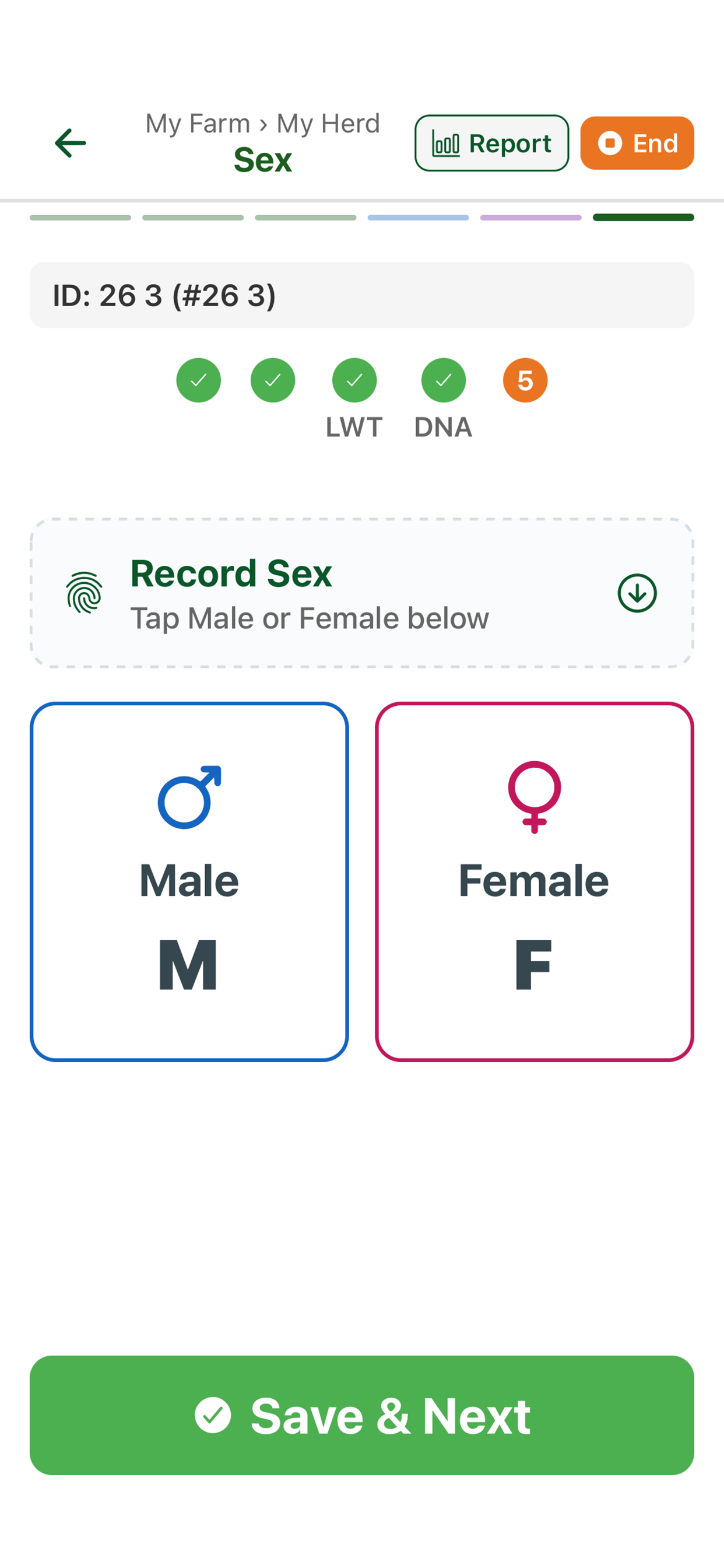 getarvo screenshot 6
