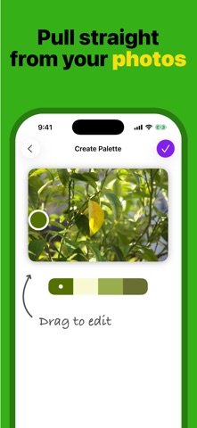 Palettable - Palette Creator Screenshot 2 of 7