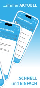 Tatbestandskatalog screenshot