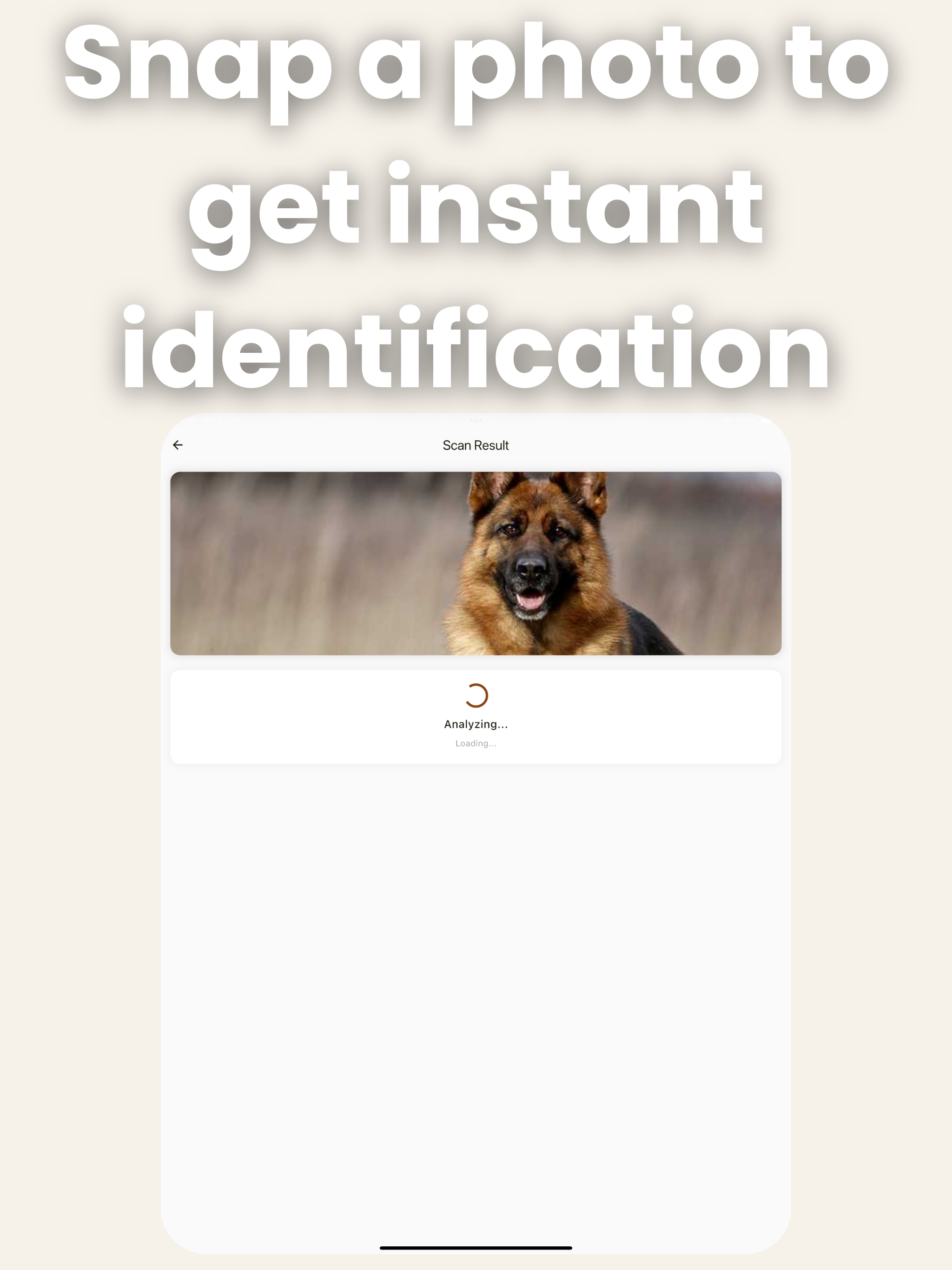 Dog Breed Identifier – AI Scan