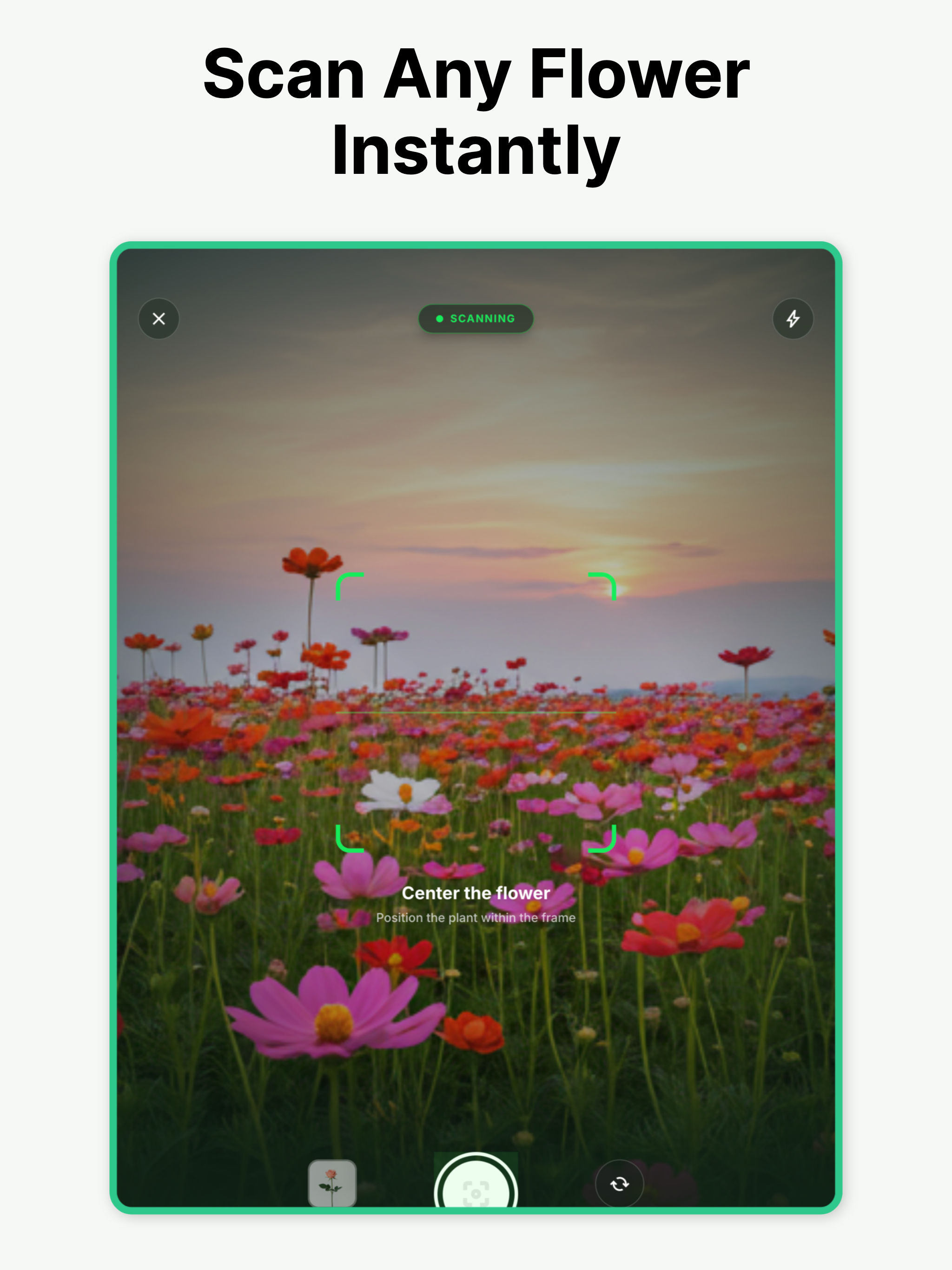 Flower Identifier: Plant ID screenshot 5