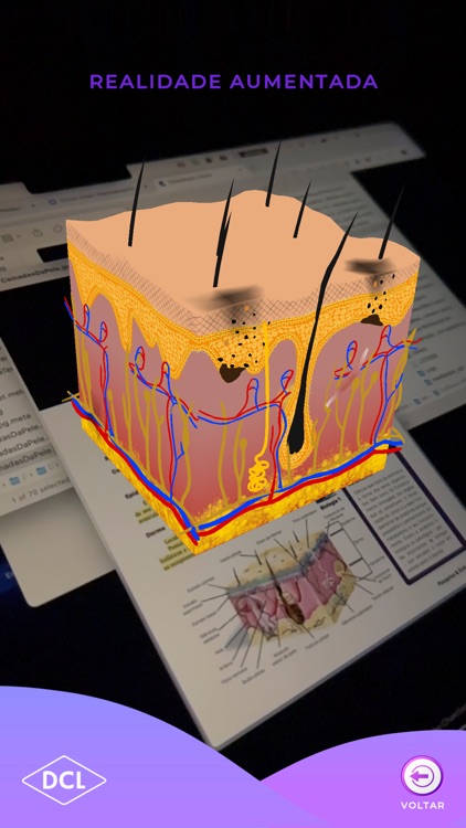 DCL Play screenshot-3