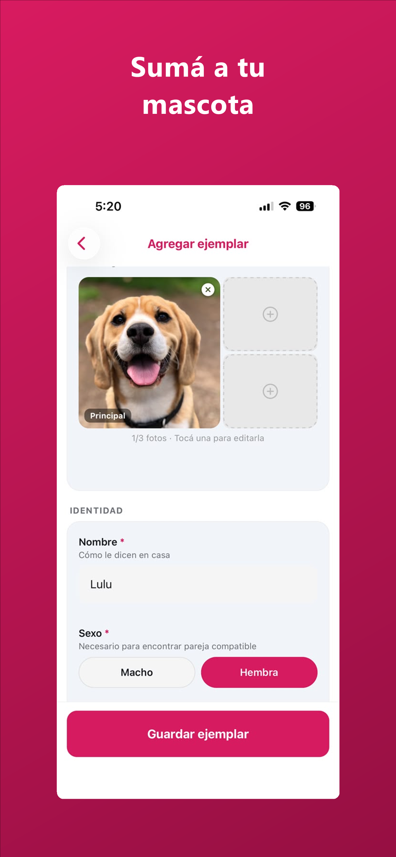 Timpet screenshot 6