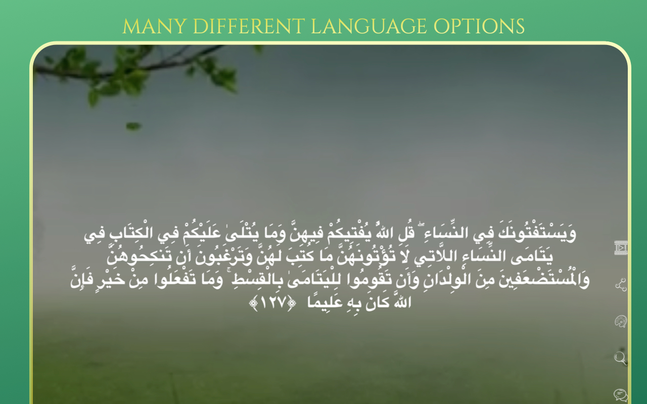 Offline Quran Audio Reader Pro screenshot 27