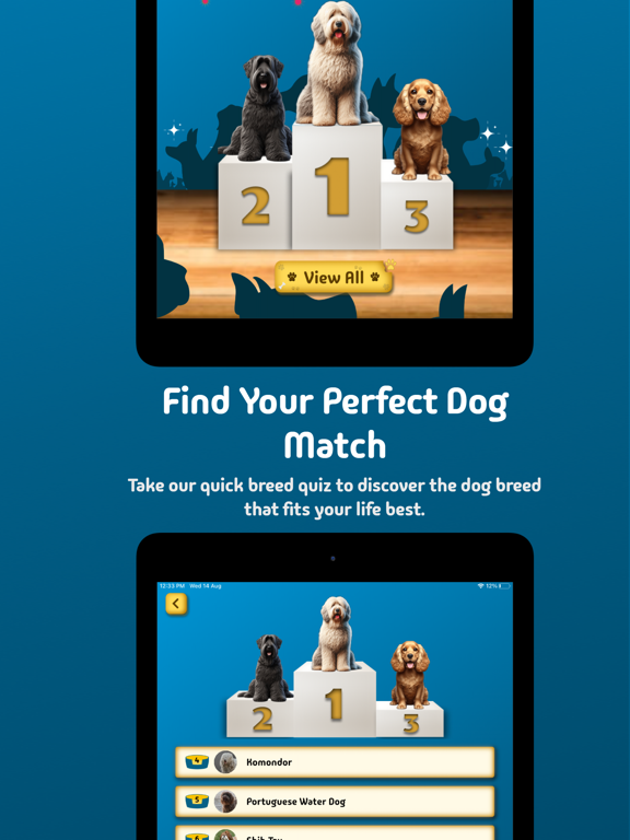 Screenshot #5 pour Dog Decision Compass