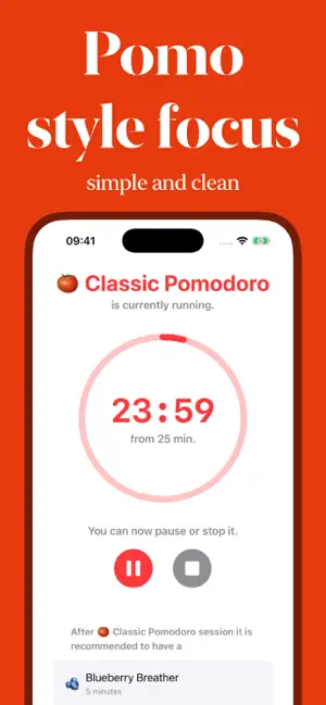 Pomo Style screenshot 1