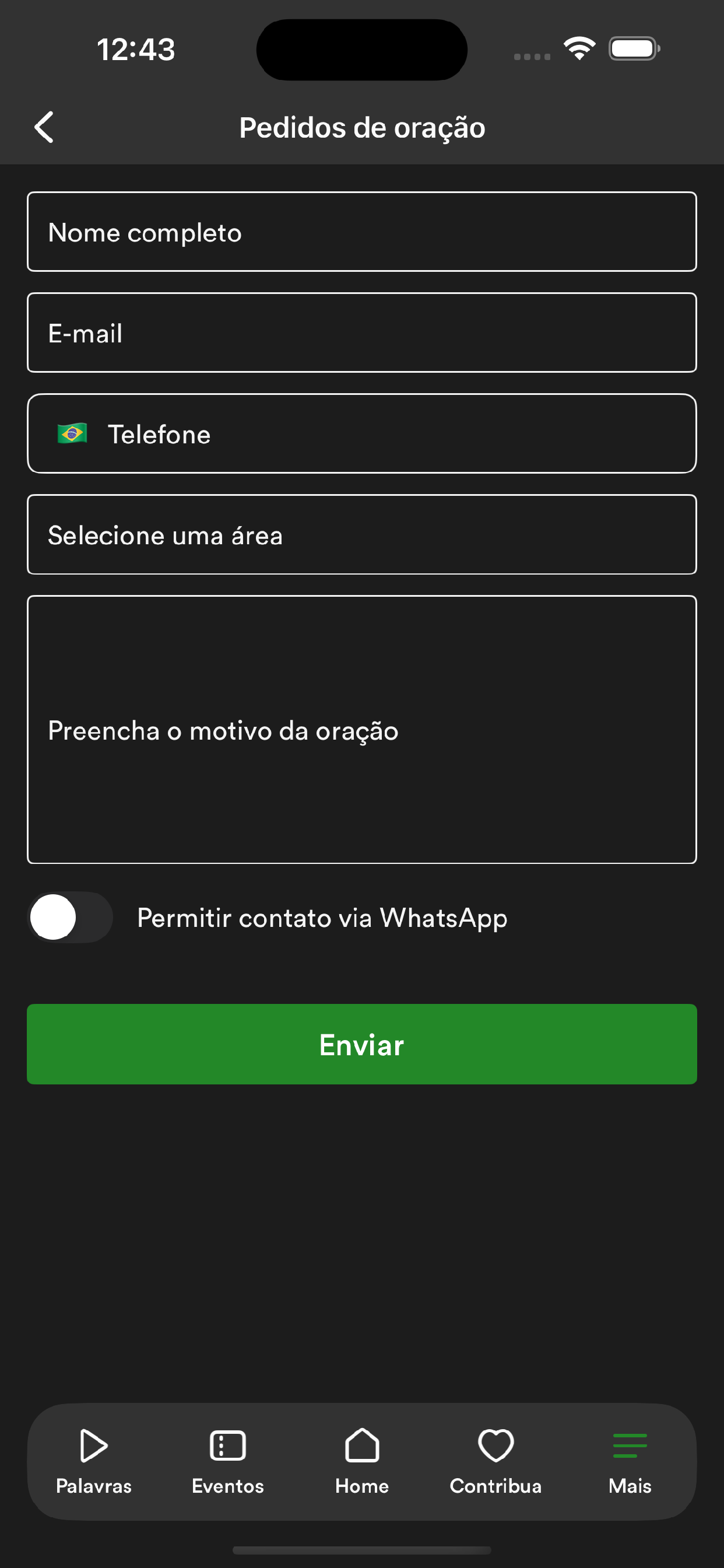 PIBON screenshot 5