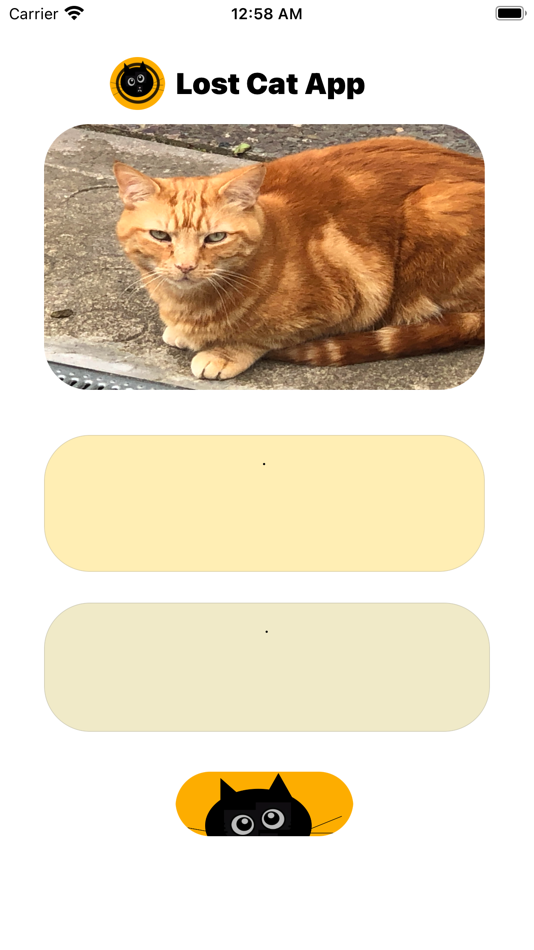#7. Lost Cat App (iOS) 由: Feargal Tobin