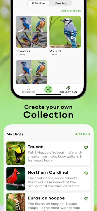 Bird Sounds Identifier Call IDのスクリーンショット（6/6）