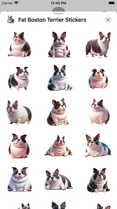 Screenshot #2 pour Fat Boston Terrier Stickers