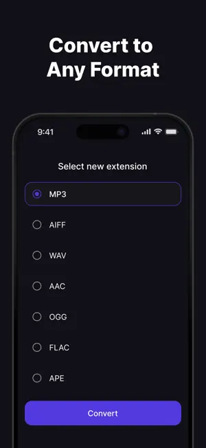 Video To MP3 Pro Converter screenshot 1
