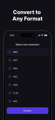 Video To MP3 Pro Converter iPhone screenshot
