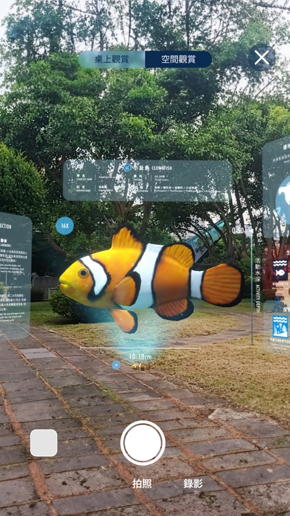 Oceanarium AR screenshot-4
