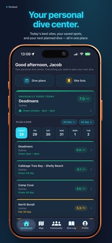 Vizzbud screenshot