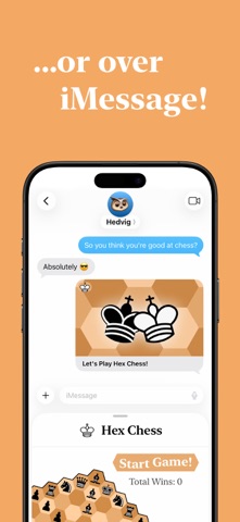 Hex Chess Screenshot 5 of 5