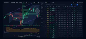 RowFlow: Options Flow screenshot 2