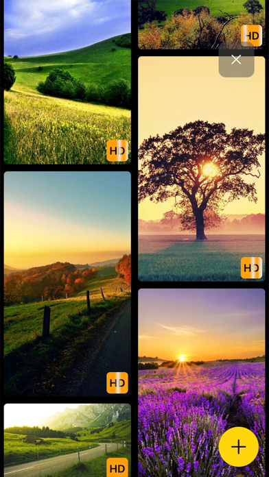 Wallpapers HD: 4K Themes Screenshot