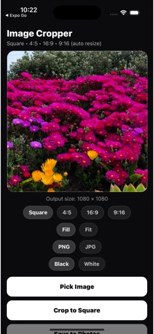 Image Cropper Studio screenshot